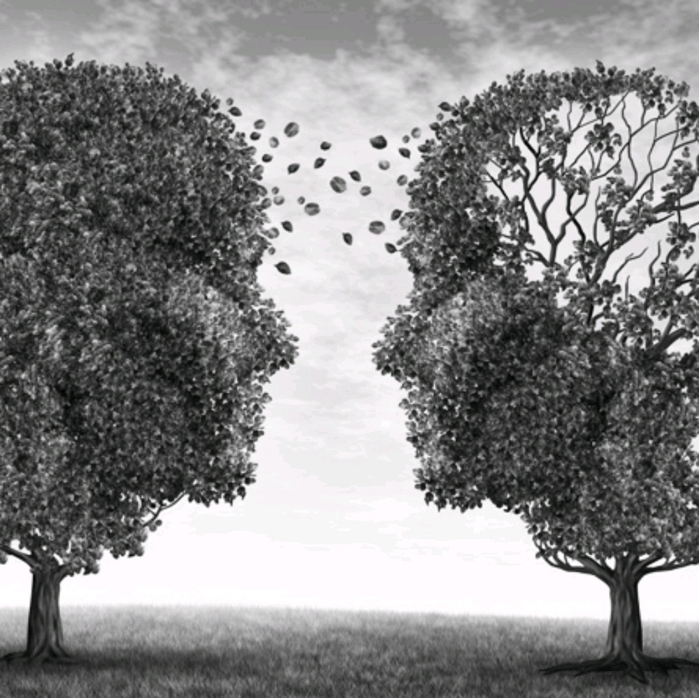 Meet your Posher, Galina